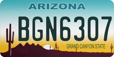AZ license plate BGN6307