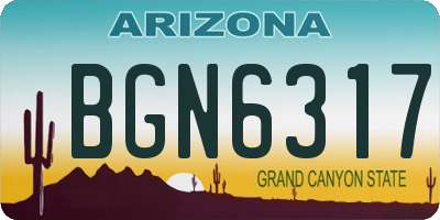 AZ license plate BGN6317