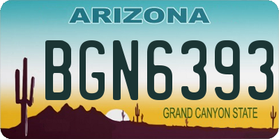 AZ license plate BGN6393
