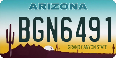 AZ license plate BGN6491