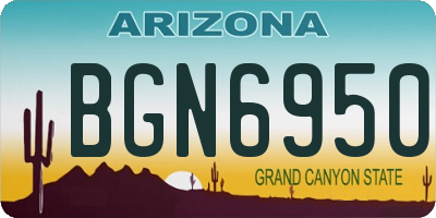AZ license plate BGN6950