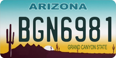 AZ license plate BGN6981