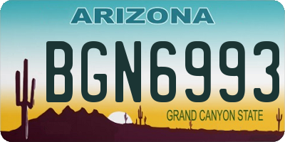AZ license plate BGN6993