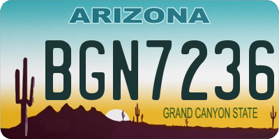 AZ license plate BGN7236