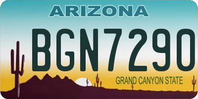 AZ license plate BGN7290