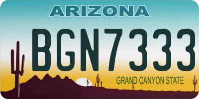 AZ license plate BGN7333