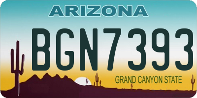 AZ license plate BGN7393