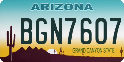 AZ license plate BGN7607