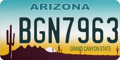 AZ license plate BGN7963