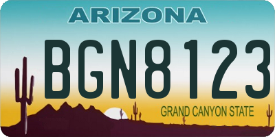 AZ license plate BGN8123