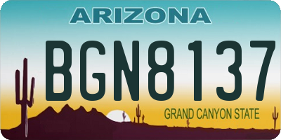 AZ license plate BGN8137