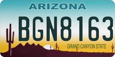 AZ license plate BGN8163