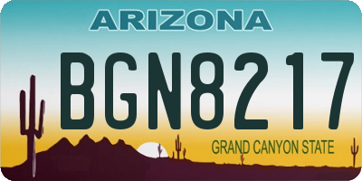 AZ license plate BGN8217