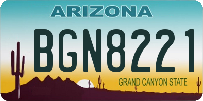 AZ license plate BGN8221