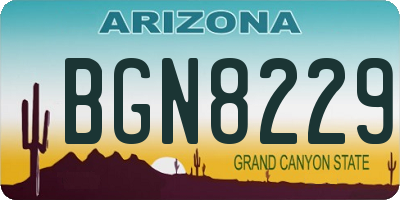 AZ license plate BGN8229