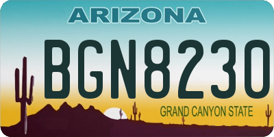 AZ license plate BGN8230