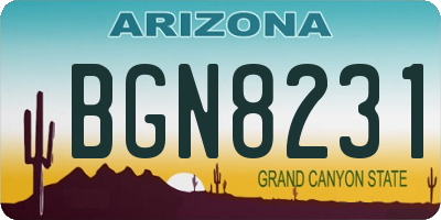 AZ license plate BGN8231