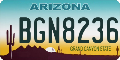 AZ license plate BGN8236