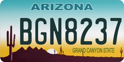 AZ license plate BGN8237