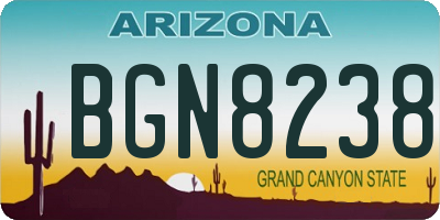 AZ license plate BGN8238