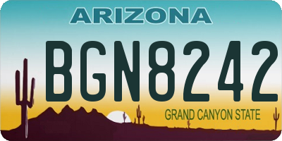 AZ license plate BGN8242