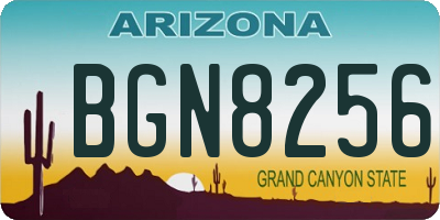 AZ license plate BGN8256