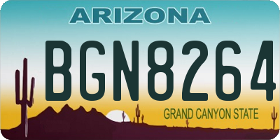 AZ license plate BGN8264
