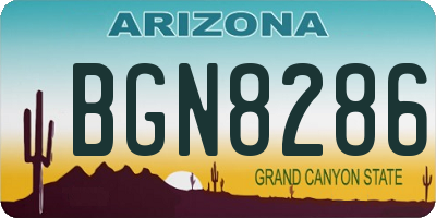 AZ license plate BGN8286