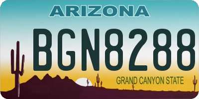 AZ license plate BGN8288