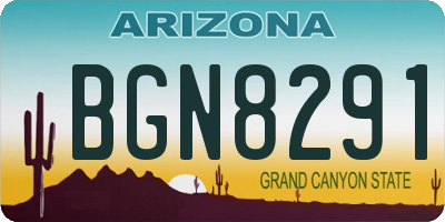 AZ license plate BGN8291