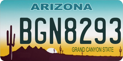 AZ license plate BGN8293