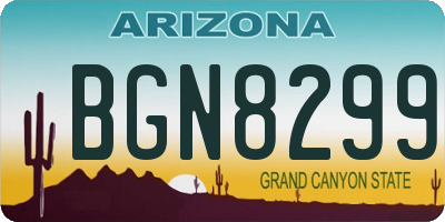 AZ license plate BGN8299