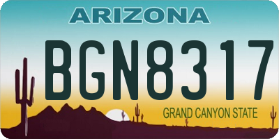 AZ license plate BGN8317