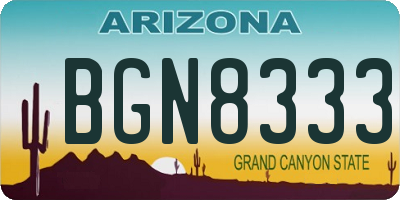 AZ license plate BGN8333