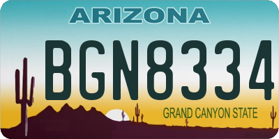AZ license plate BGN8334