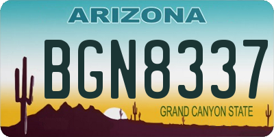 AZ license plate BGN8337