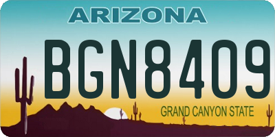 AZ license plate BGN8409
