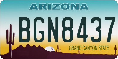 AZ license plate BGN8437
