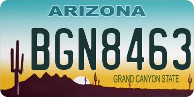 AZ license plate BGN8463