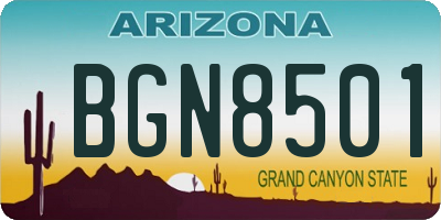AZ license plate BGN8501
