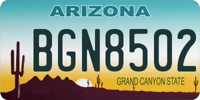AZ license plate BGN8502