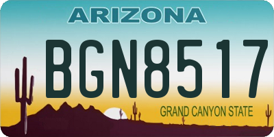 AZ license plate BGN8517