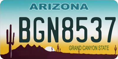 AZ license plate BGN8537
