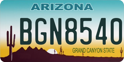 AZ license plate BGN8540