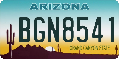 AZ license plate BGN8541