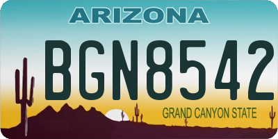 AZ license plate BGN8542