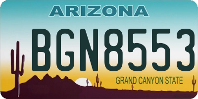 AZ license plate BGN8553