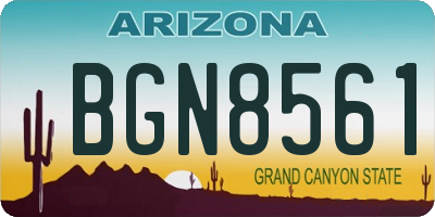 AZ license plate BGN8561