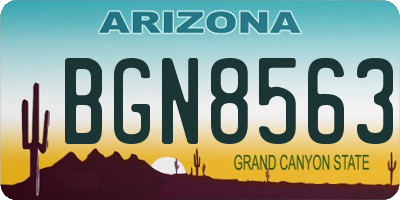 AZ license plate BGN8563
