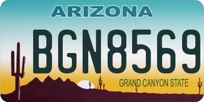 AZ license plate BGN8569